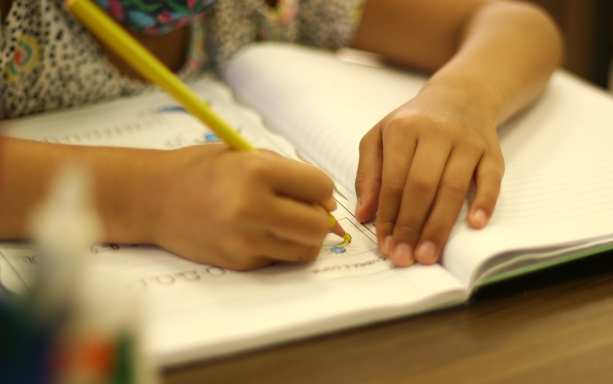 Cadastramento Escolar 2023/2024 começa nesta segunda-feira em Divinópolis; confira normas e prazo | Centro-Oeste