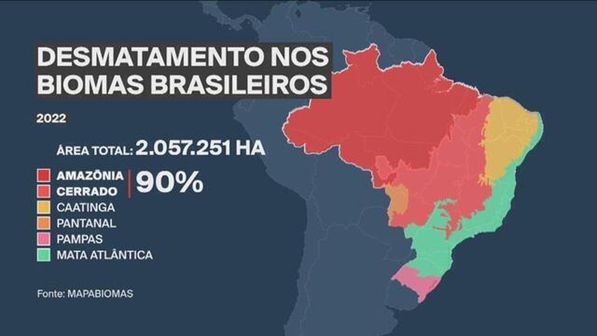 Desmatamento nos biomas brasileiros cresce 22% em 2022, aponta levantamento do MapBiomas | Meio Ambiente