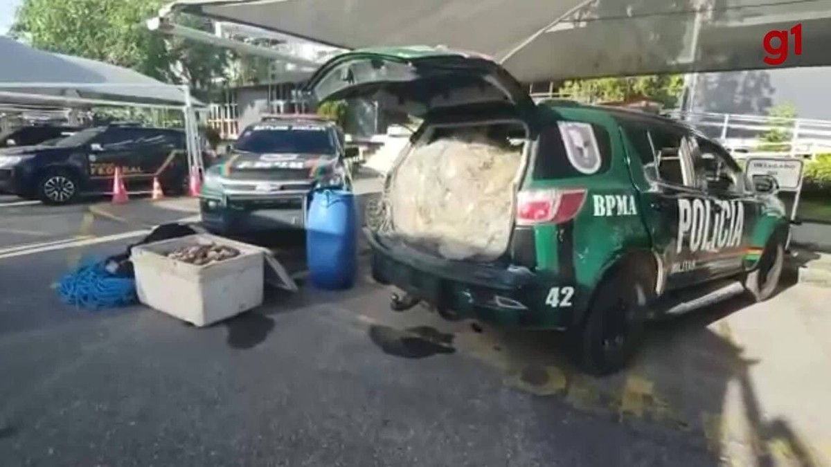 Grupo suspeito de pesca ilegal é preso com 150kg de lagosta em Fortaleza