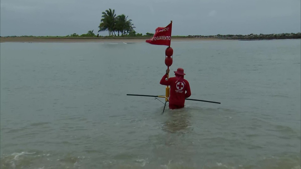 Praias recebem bandeiras flutuantes que alertam para risco de ataque de tubarão no Grande Recife | Pernambuco