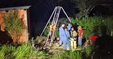 Presidente Prudente – Bombeiros e Polícia Ambiental resgatam vaca que caiu em poço de 12 metros