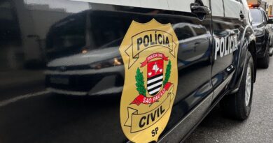 Polícia de SP reforça cerco a golpistas que atuam na internet; veja como se prevenir