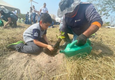 CESP irá restaurar mil hectares de Mata Atlântica no oeste paulista até 2030