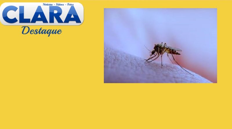 Região com 27,4 mil casos confirmados de dengue