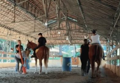 Governo de SP abre inscrições para contratar serviços de equoterapia
