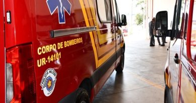 Caiuá – Árvore cai em trator com trabalhadores de propriedade rural Homem, de 57 anos, faleceu