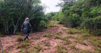 Ouro Verde – Polícia Militar Ambiental multa Homem  por danificar unidade de conservação