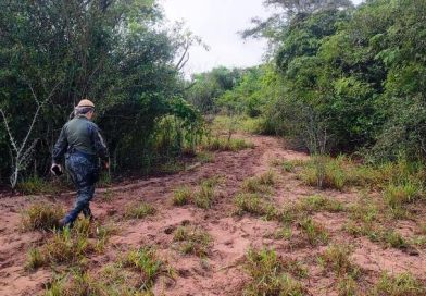 Ouro Verde – Polícia Militar Ambiental multa Homem  por danificar unidade de conservação