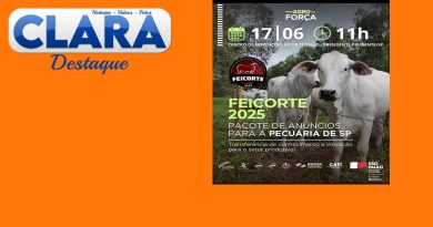 FEICORTE 2025 – 17 a 21 de junho de 2025