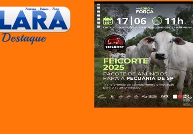 FEICORTE 2025 – 17 a 21 de junho de 2025