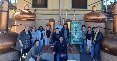Dracena – Curso de Cachaça Artesanal