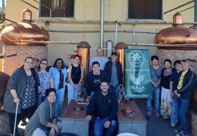 Dracena – Curso de Cachaça Artesanal