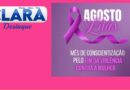 Dracena – Agosto Lilás