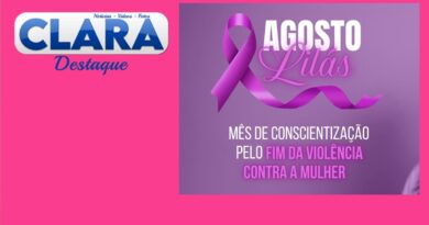 Dracena – Agosto Lilás