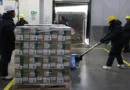 Brasil recebe lote de medicamento para tratar câncer de mama no SUS