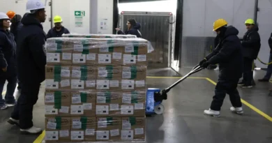 Brasil recebe lote de medicamento para tratar câncer de mama no SUS