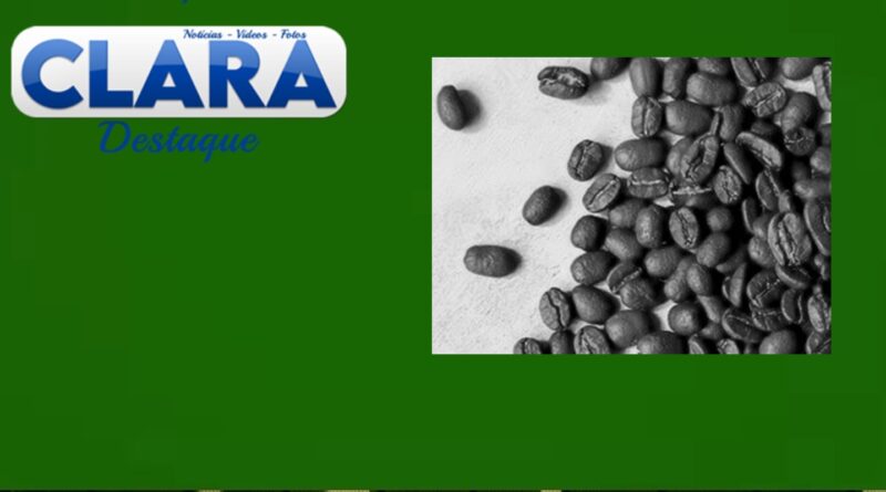 Nova Alta Paulista –  Café arábica recebe selo de indicação geográfica