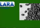 Café Arábica da Nova Alta Paulista conquista Indicação Geográfica com apoio do Sebrae-SP