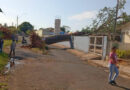 Tupã – Árvore de grande porte cai em creche