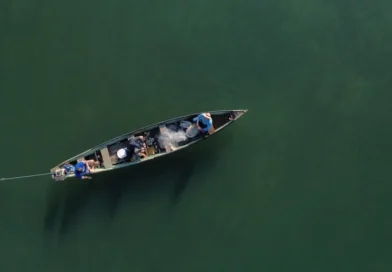 Pescadores profissionais têm até dia 31 para comprovar atividade