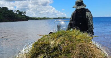 Presidente Epitácio – Polícia Ambiental apreende 700 metros de redes de pesca no Rio Paraná