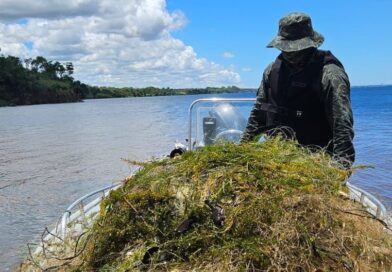 Presidente Epitácio – Polícia Ambiental apreende 700 metros de redes de pesca no Rio Paraná