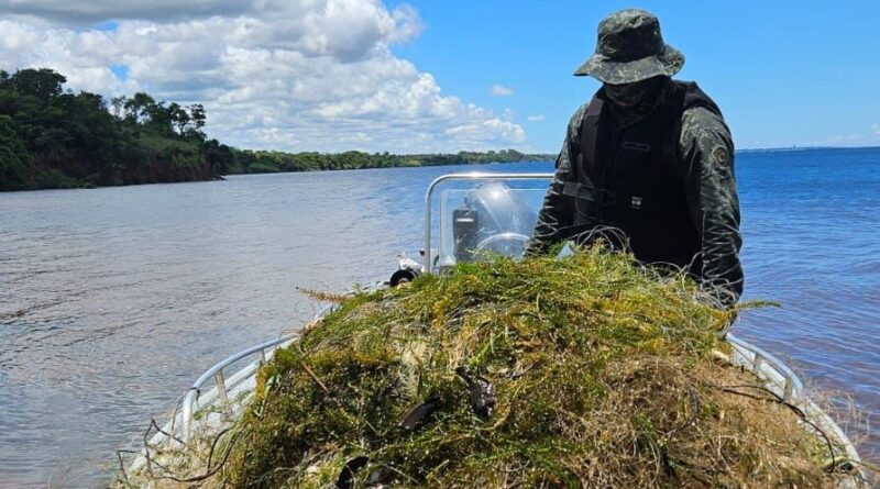 Presidente Epitácio – Polícia Ambiental apreende 700 metros de redes de pesca no Rio Paraná