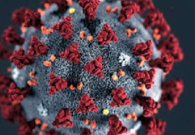 Osvaldo Cruz – 25 casos positivos de Covid-19