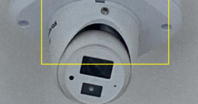 Adamantina – Escorpião cai de câmera no quarto de bebê