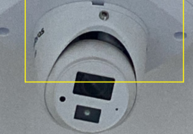 Adamantina – Escorpião cai de câmera no quarto de bebê